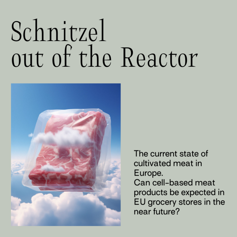 Schnitzel out of the Reactor