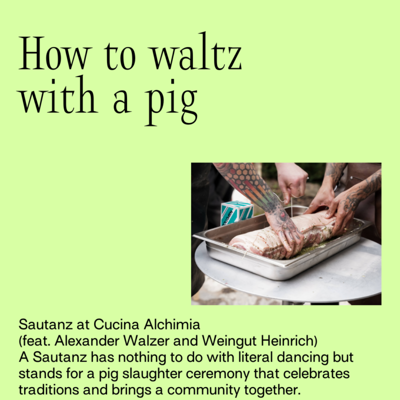 How to waltz with a pig