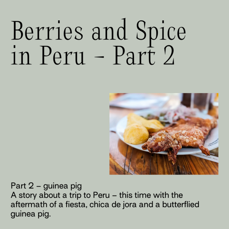 Berries and Spice in Peru – Part 2 – Guinea Pig 
