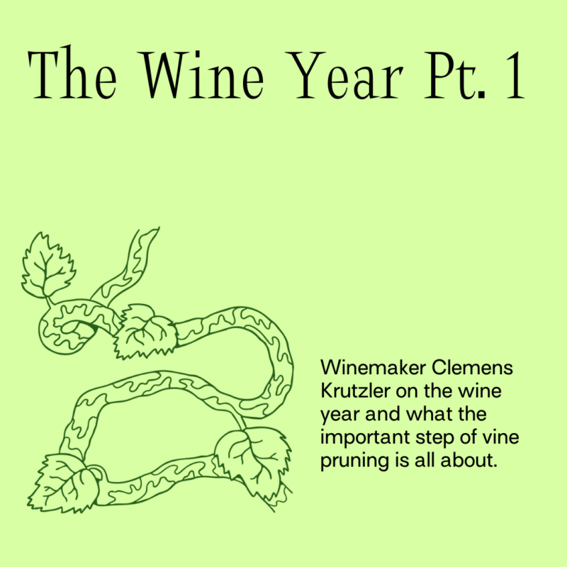 The Wine Year Pt. 1