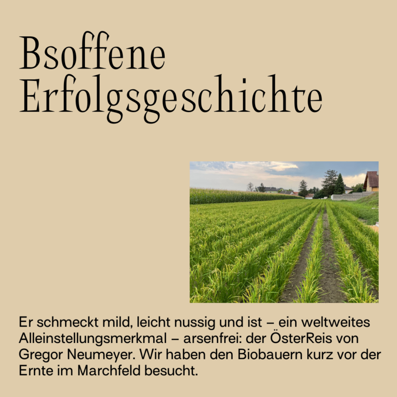 Bsoffene Erfolgsgeschichte