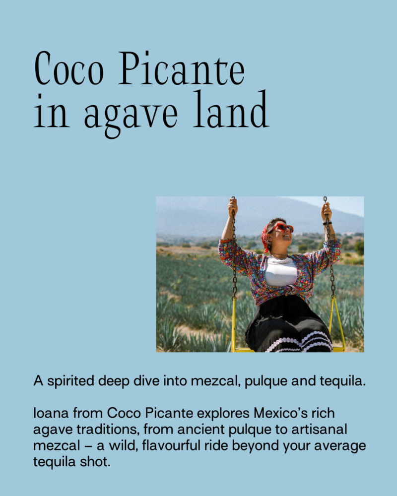 Coco Picante in agave land